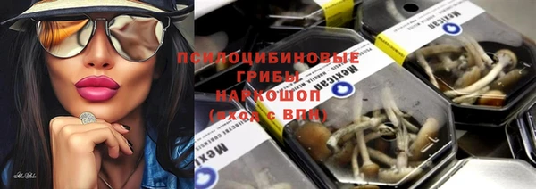 амф Осташков