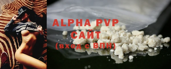 амф Осташков