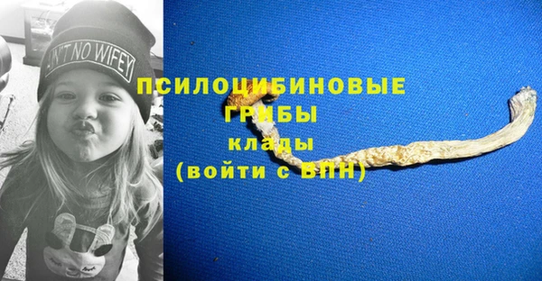бутират Нязепетровск