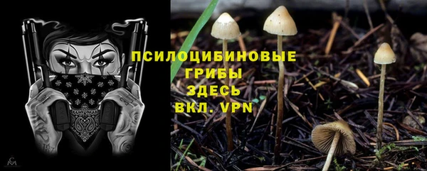 mdpv Осинники