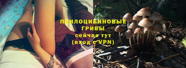 кристаллы Няндома