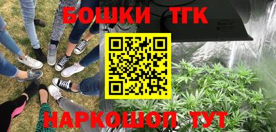 прущие грибы Краснознаменск