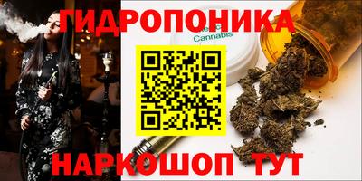 дмт Краснодар