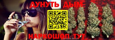 дмт Краснодар