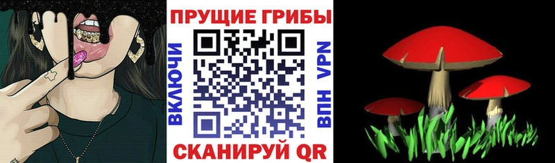 Галлюциногенные грибы мухоморы  Ревда 