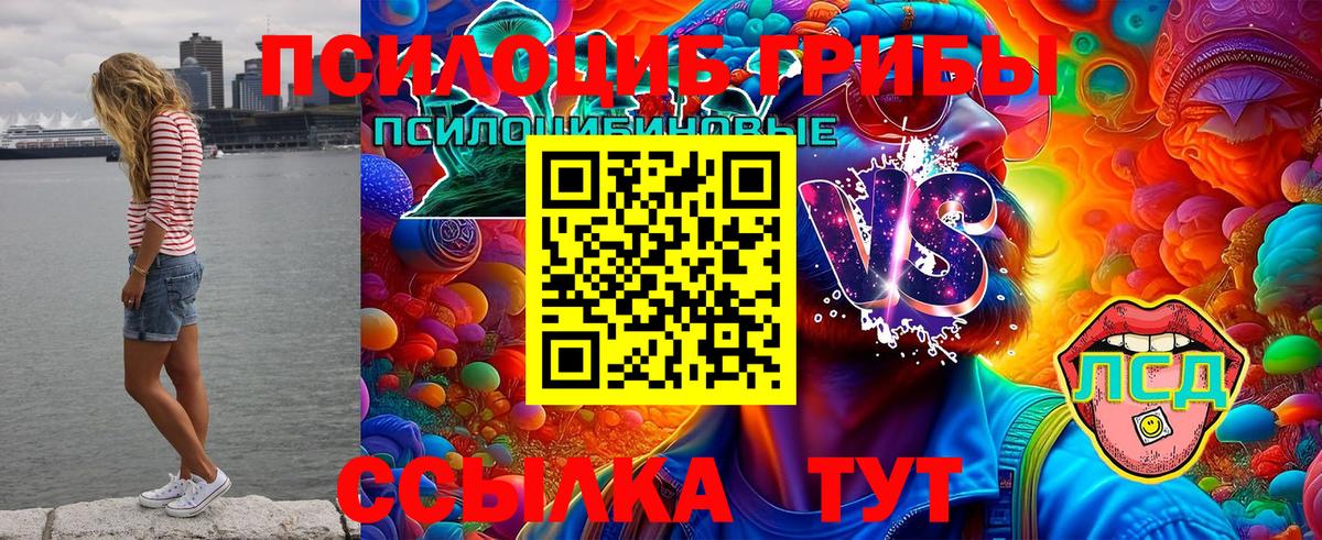 Галлюциногенные грибы MAGIC MUSHROOMS Ревда