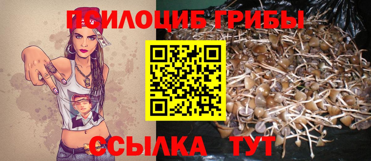 Ревда  Галлюциногенные грибы мухоморы  где можно купить   Вход с VPN 