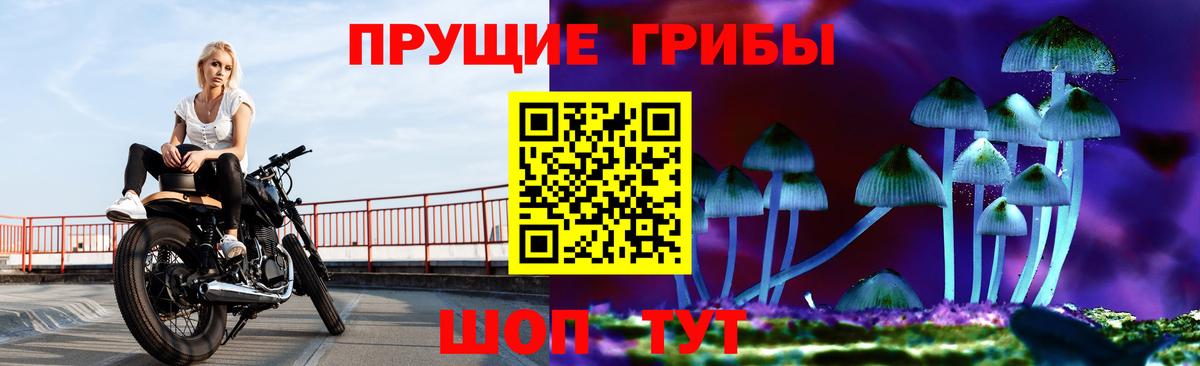 Псилоцибиновые грибы GOLDEN TEACHER  Псилоцибиновые грибы Cubensis  Ревда 